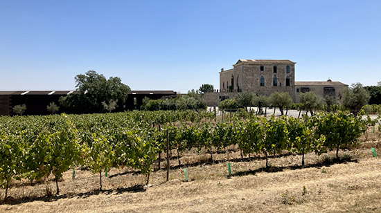 Découvrez le Portugal et ses vins